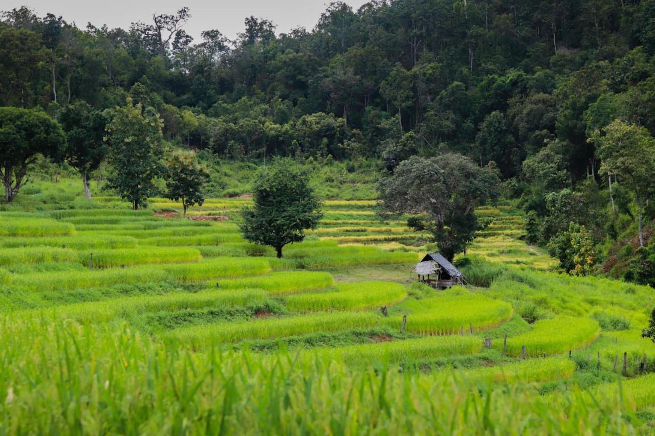 Maewin Guesthouse And Resort Ban Huai Rin Eksteriør bilde