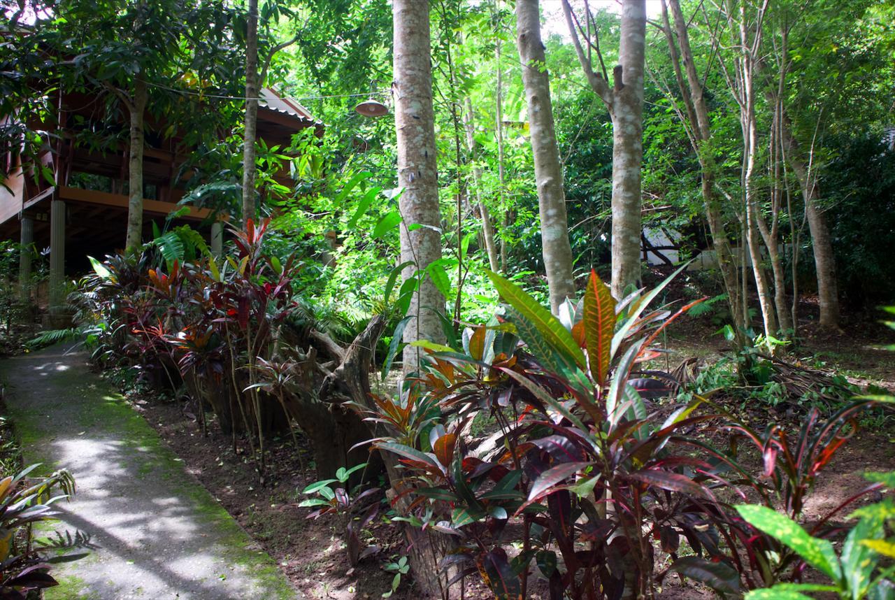 Maewin Guesthouse And Resort Ban Huai Rin Eksteriør bilde